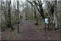 NH7501 : Woodland path up the Gynack Burn by Alan Reid