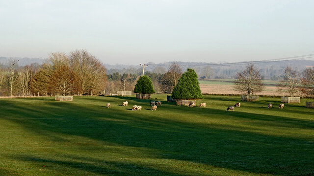 Pasture near Dallicott Hall in Shropshire