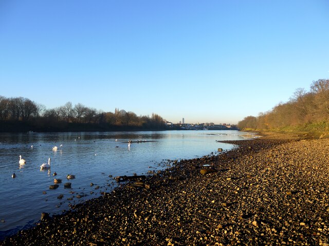 The Thames foreshore at Barnes in January