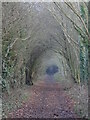 SK9842 : Tunnel vision by Ian Paterson