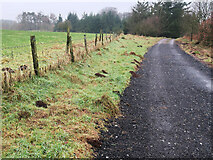 NS3563 : Access road to Ward House and some mole hills by wrobison