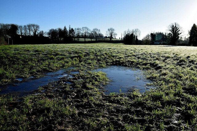 Water-logged field, Arvalee