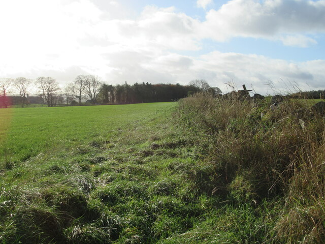 Bridleway to Fell House and Main Road
