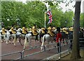 TQ2979 : Trooping the Colour 2013 by Lauren