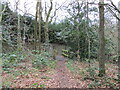 Footpath over a drain, Skellingthorpe