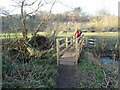SO8690 : Footbridge View by Gordon Griffiths