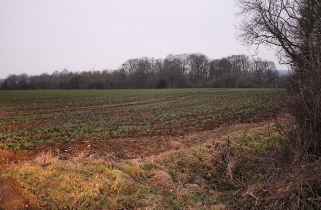 Field by Church Lane, Lambourne