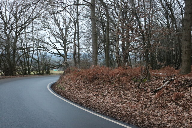 Banks Lane, Mount End