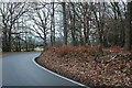 Banks Lane, Mount End