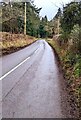 SO4514 : Hedge-lined road on the approach to Hendre, Monmouthshire by Jaggery