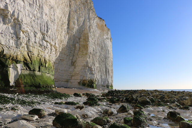 Erosion indicated by a patch of recently exposed chalk, East Sussex