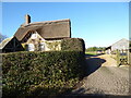 Thatched Cottage