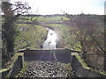 Drainage ditch viewed from the Way for the Millennium near Gnosall