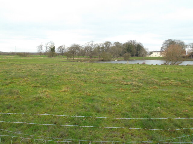 Pond at Drax Abbey Farm © David Brown :: Geograph Britain and Ireland