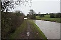 Coventry Canal towards bridge #27