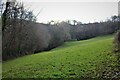 Enclosed field above the village of Dolwyd