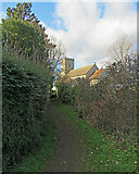 TL6973 : Worlington: footpath to the church by John Sutton