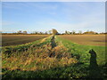 TA0348 : Bridleway  to  Watton  in  low  afternoon  sun by Martin Dawes