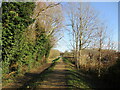 Footpath along a flood bank, Long Eaton