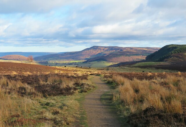 Cleveland Way path on Scarth Wood Moor © Gordon Hatton :: Geograph ...