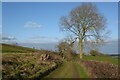 Bridleway to Upper Brailes