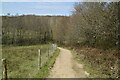TQ3827 : Sussex Border Path by N Chadwick