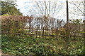 Waymarker, Sussex Border Path