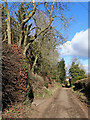 Lane near Woundale in Shropshire