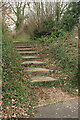 Steps from Leeward Lane