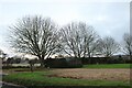 Field by Priors Hill, Pirton