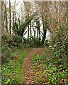 SX9067 : Path meeting Kingskerswell Road by Derek Harper