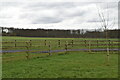 Fence, field and forest