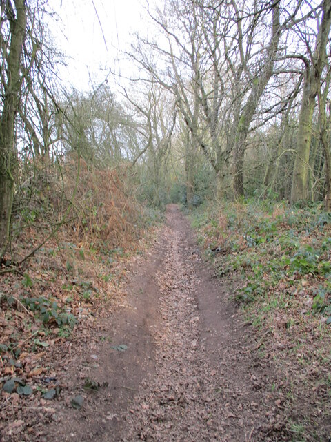 Ling Lane © Jonathan Thacker :: Geograph Britain and Ireland