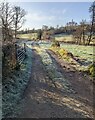 Frosty public footpath, Tal-y-Coed, Monmouthshire