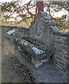 Victorian water trough, Tal-y-Coed, Monmouthshire