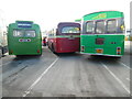 SU1385 : Backs of three preserved buses at Stagecoach Bus Depot, Swindon by David Hillas