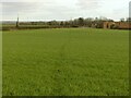 Footpath off Little Lane