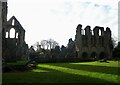 SJ6200 : Wenlock Priory - Stripes of sunlight across the ruins by Rob Farrow