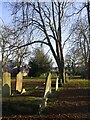 Mortlake Old Burial Ground, late January 2022