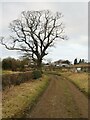 Bridleway approaching Brookside Farm