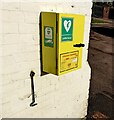 Yellow box, Tal-y-Coed, Monmouthshire