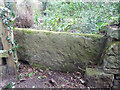SO5505 : Stone Stile, Mork, Forest of Dean by Mr Red