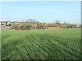 Post-industrial site, east of Newton Hill