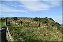 D0843 : Cliff top near Kinbane Castle by N Chadwick