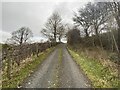 Bridleway near Fron