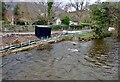 The swollen Shimna above the New Bridge on Christmas Day. 2021