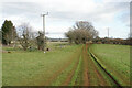 SP3632 : Bridleway to Cradle Farm by Bill Boaden