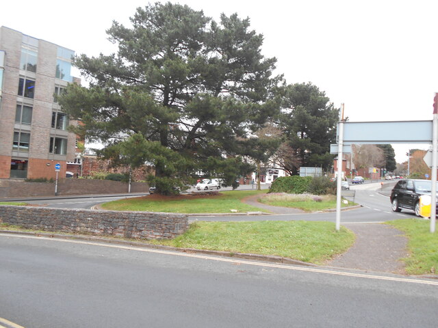Trees on a roundabout