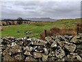 SO5984 : Dry stone wall on Clee Burf by Mat Fascione
