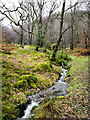 Stream at Inverhoulin